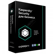 Kaspersky Endpoint Security для бизнеса Расширенный (базовая лицензия на 2 года от 10 до 14 узлов) [KL4867RAKDS]