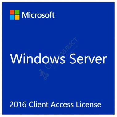 Microsoft Windows Server CAL 2019 Russian OLP Level A Government User CAL [R18-05790]